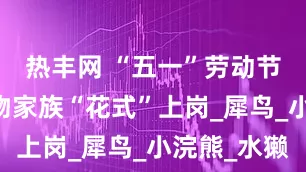 热丰网 “五一”劳动节 云南动物家族“花式”上岗_犀鸟_小浣熊_水獭