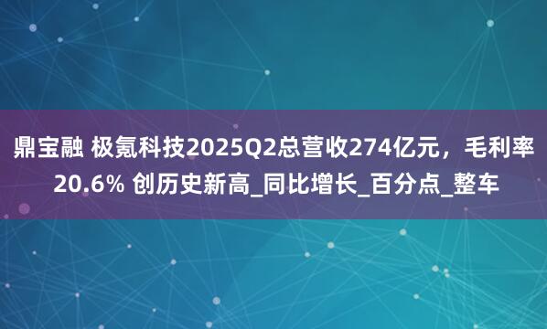 鼎宝融 极氪科技2025Q2总营收274亿元，毛利率 20.6% 创历史新高_同比增长_百分点_整车