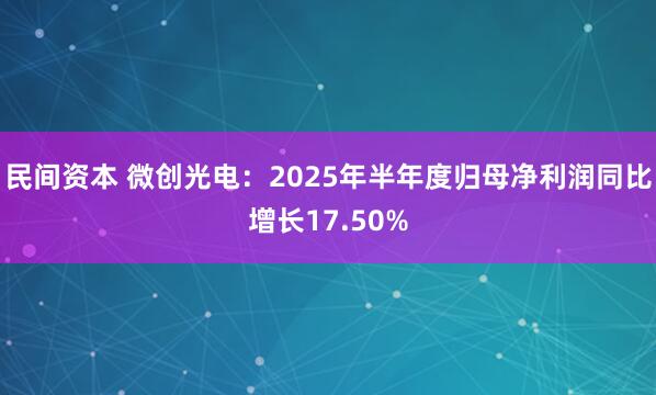 民间资本 微创光电：2025年半年度归母净利润同比增长17.50%